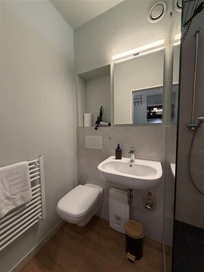 Dusche, Haartrockner, Handtücher, Shampoo