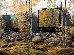 Una cabaña moderna con un ventanal grande, rodeada de un paisaje rocoso y abedules.