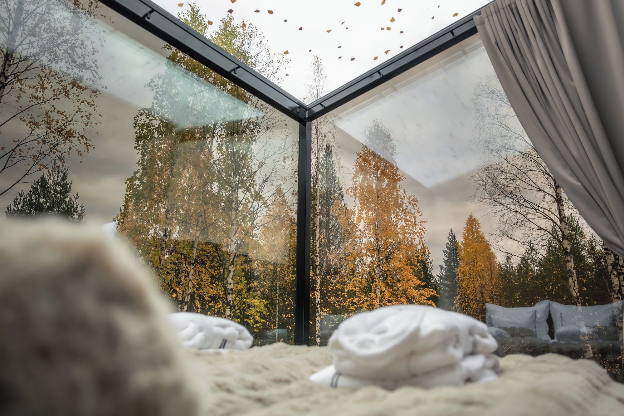 A bedroom with a glass ceiling, a bed with white bedding, and a view of autumn trees.