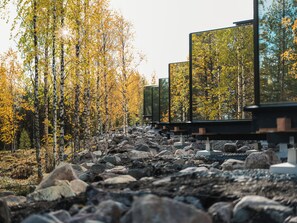 Un sendero bordeado por álamos y rocas, que conduce a una estructura con paneles reflectantes grandes.