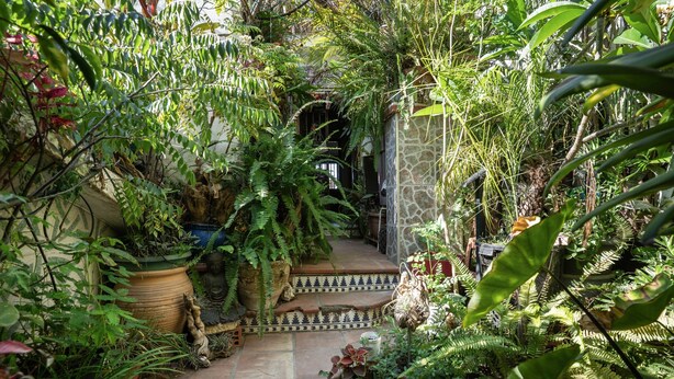 A lush garden with potted plants and a stone wall.