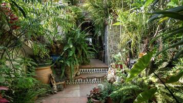 Jardines del alojamiento