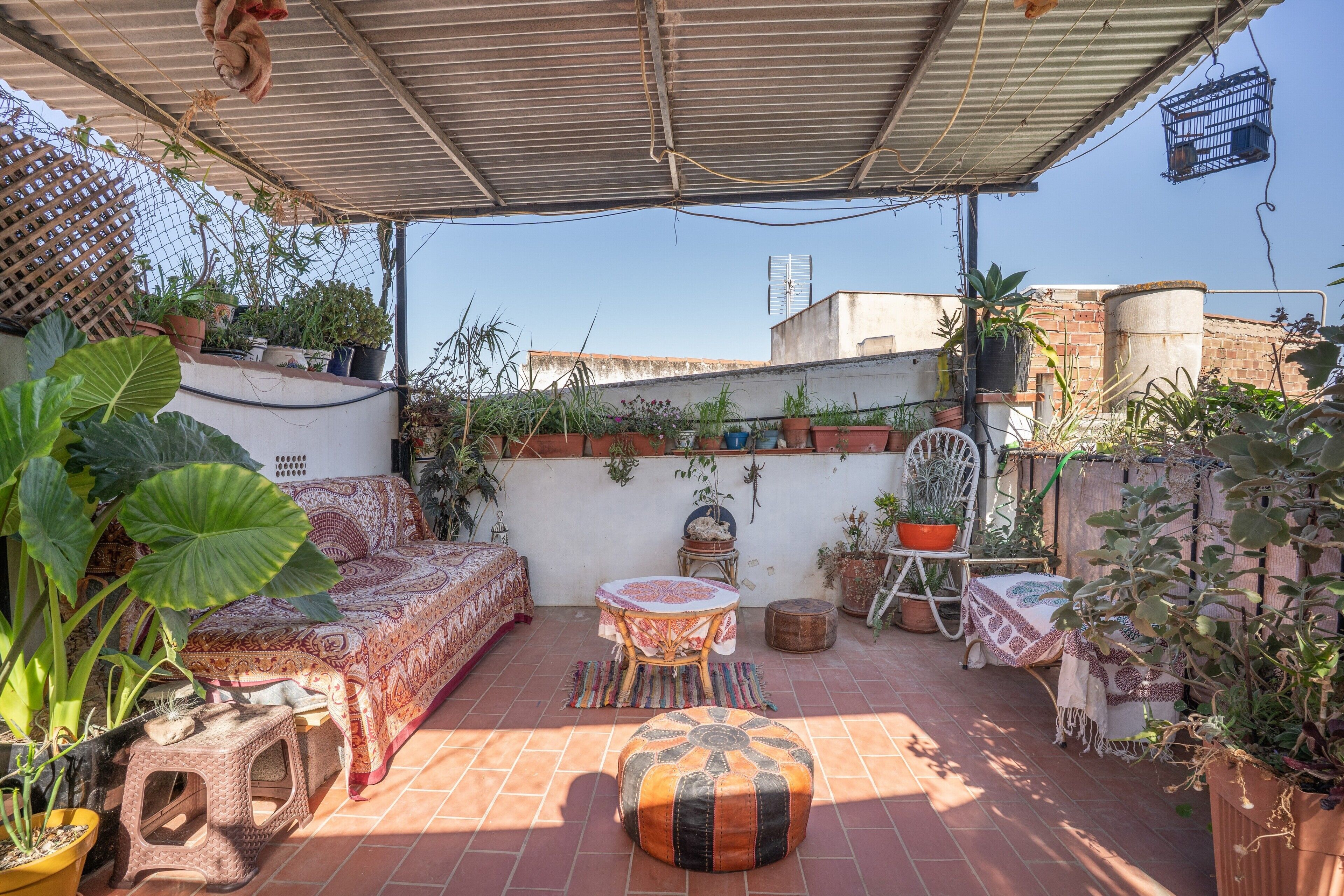 Terras