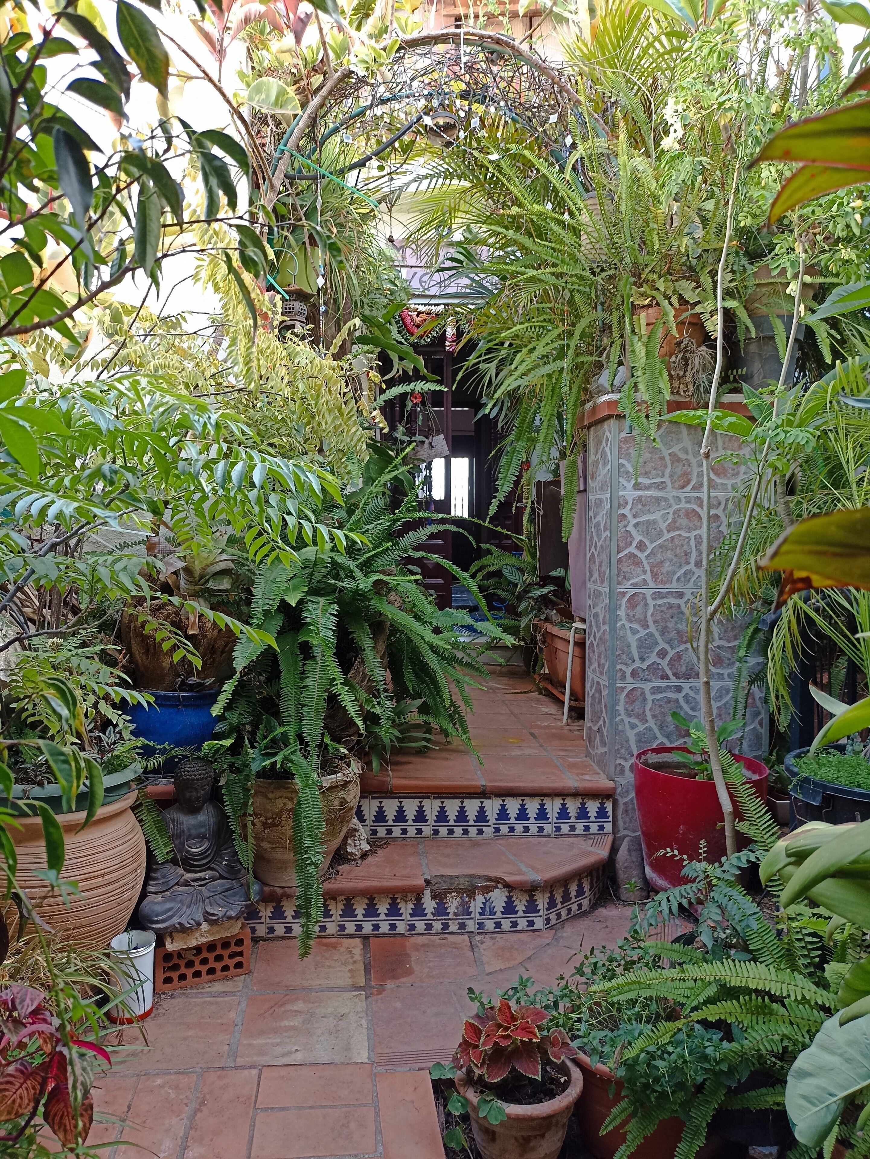 Jardines del alojamiento