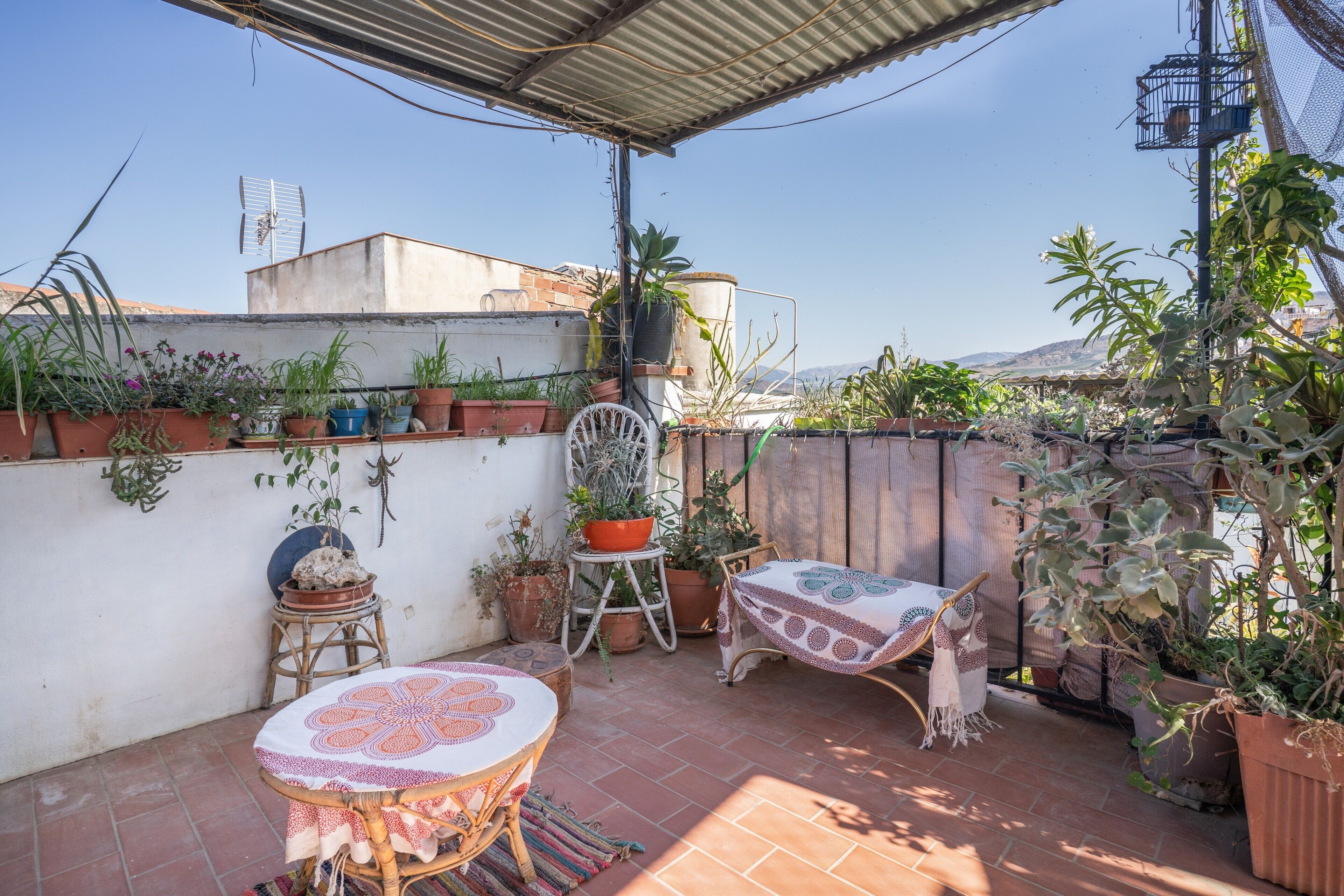 Terraza o patio