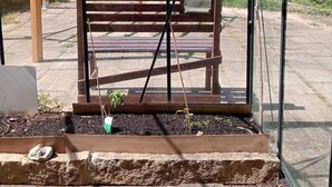 Uma estufa com um banco, plantas e vista clara do entorno.