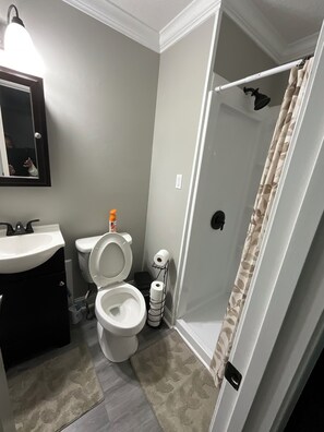 Shower, towels, toilet paper - Delightful 3-bedroom house  0.5 miles from Tupelo Airport (Tupelo)
