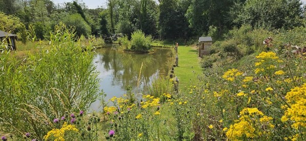 Een vijver omringd door weelderige begroeiing en gele bloemen.