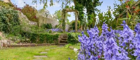 Ein Garten mit einem Kiesweg, blühenden Pflanzen und einer Holzpergola.