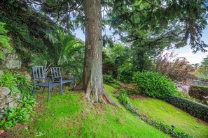 Un jardin avec un banc, un arbre et différentes plantes.