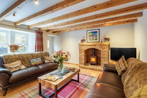 TV, fireplace - 3 Bed in Grantshouse (oc-h33622) (Grantshouse)