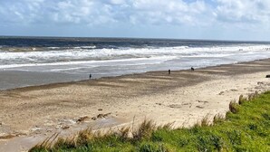 Ein Strand mit blauem Himmel und Wellen.