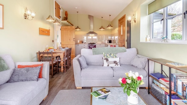 Ein gemütliches Wohnzimmer mit grauem Sofa, einem Esstisch und einer Küche im Hintergrund.