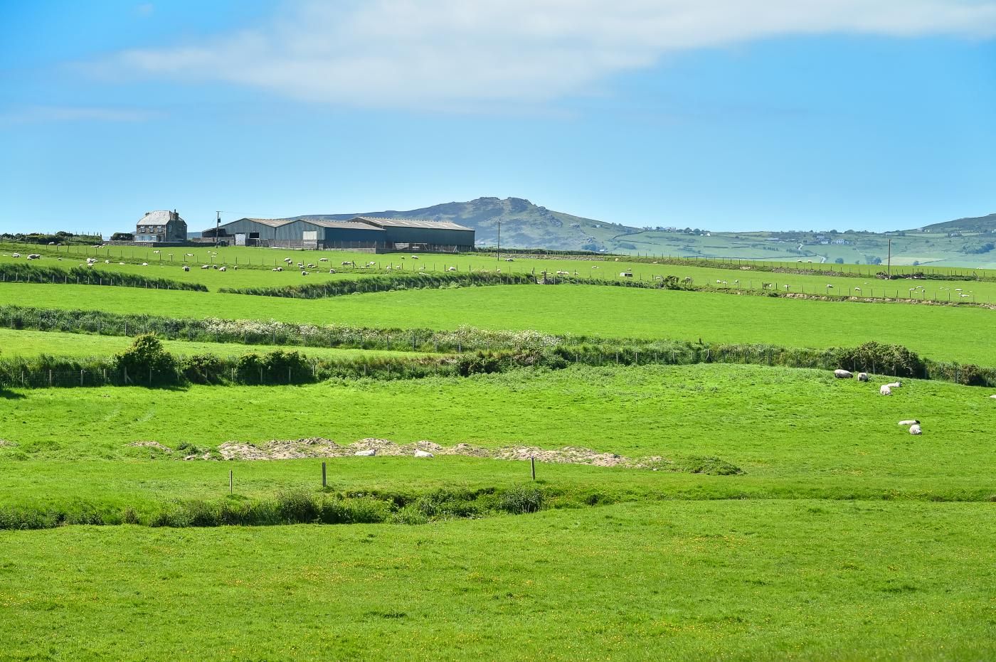 A rural landscape with green fields, a farmhouse, and a mountain in the background.