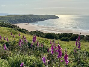 A coastal landscape with a grassy foreground, a sandy beach, and a cliff. - 3 Bed in Croyde (oc-s34664) (Croyde)