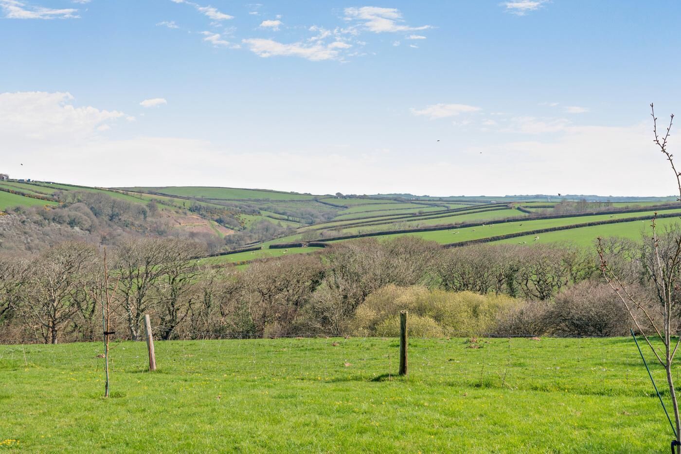A rural landscape with rolling hills, a fence line, and sparse trees.
