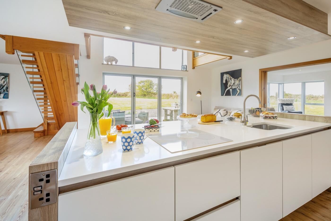 Une cuisine moderne dotée d’un grand îlot central, d’un évier intégré et offrant une vue sur l’extérieur.