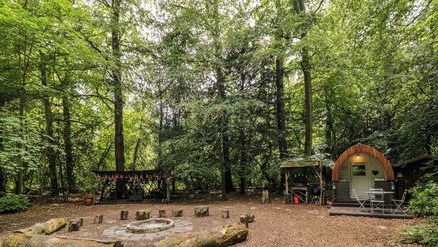 A forested area with a rustic wooden structure, a circular stone arrangement, and a small seating area. - Daisy Glamping Pod (Newbury)