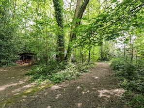 A forested area with a dirt path, a small wooden structure, and dense green foliage. - Daisy Glamping Pod (Newbury)