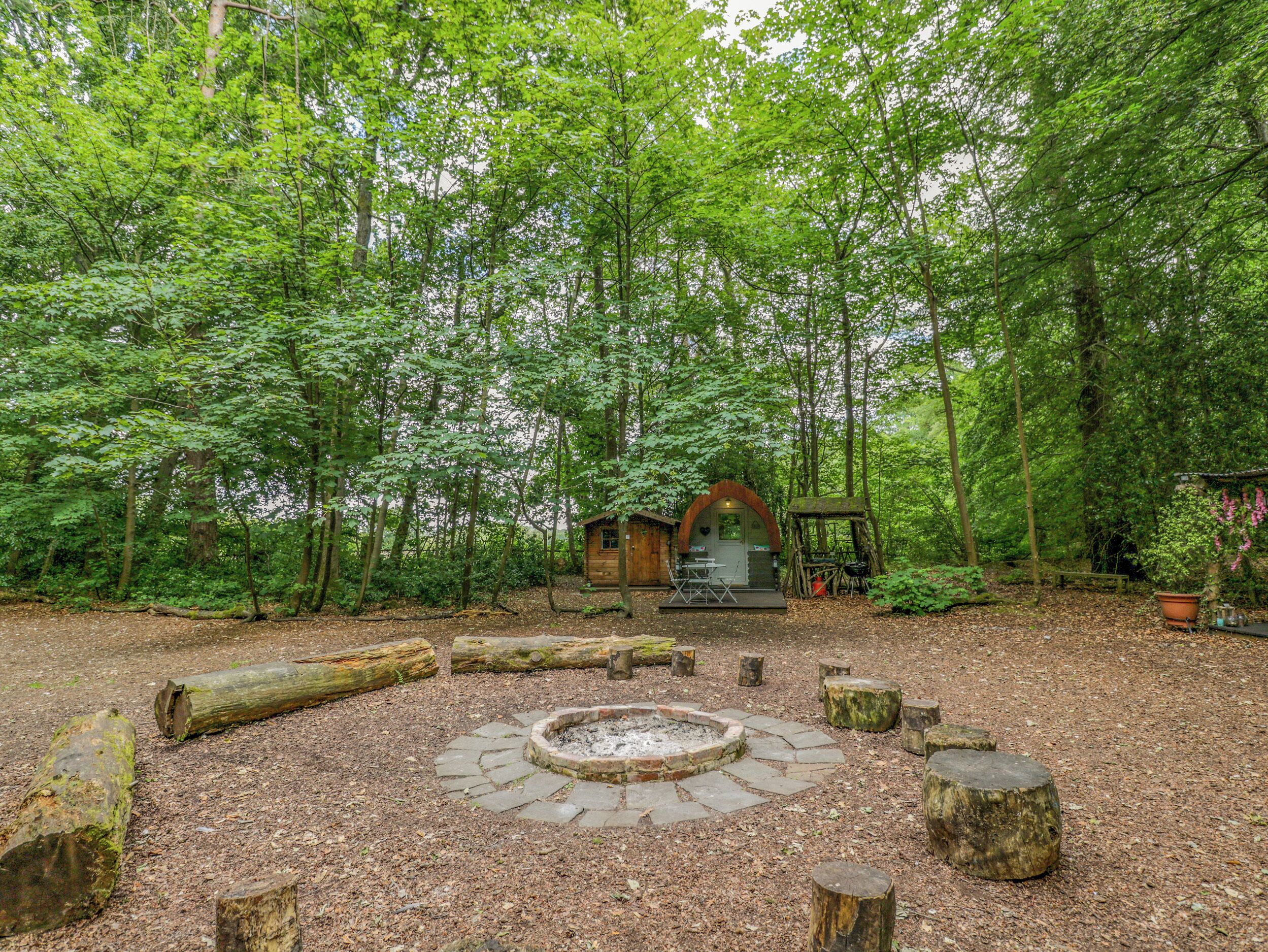 Une cabane rustique entourée d’une forêt, avec un foyer circulaire en pierre au centre.
