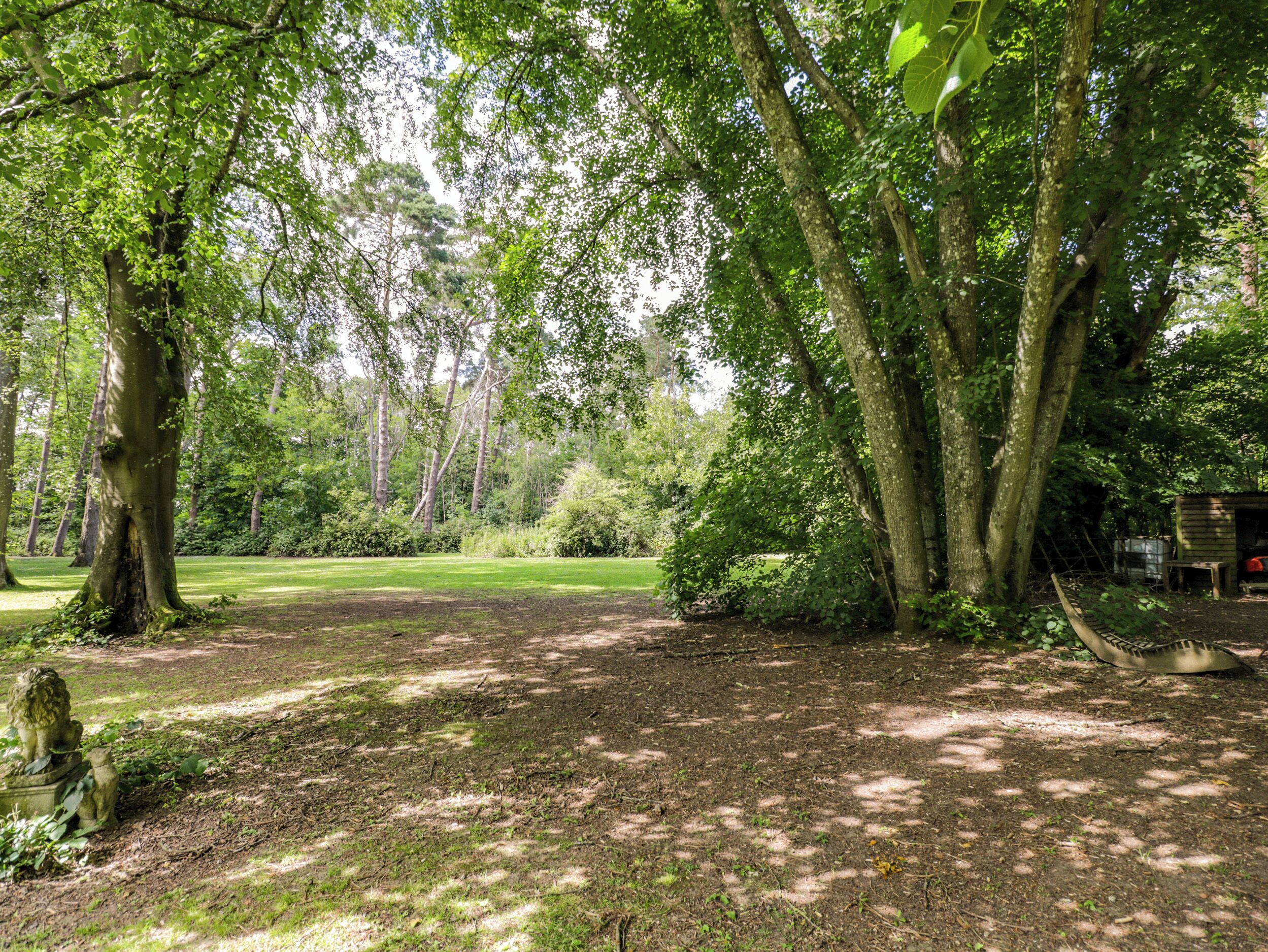 A forested area with a dirt path, a small structure, and a stone lion statue.