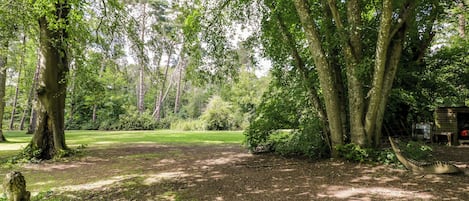 A forested area with a dirt path, a small structure, and a stone lion statue.