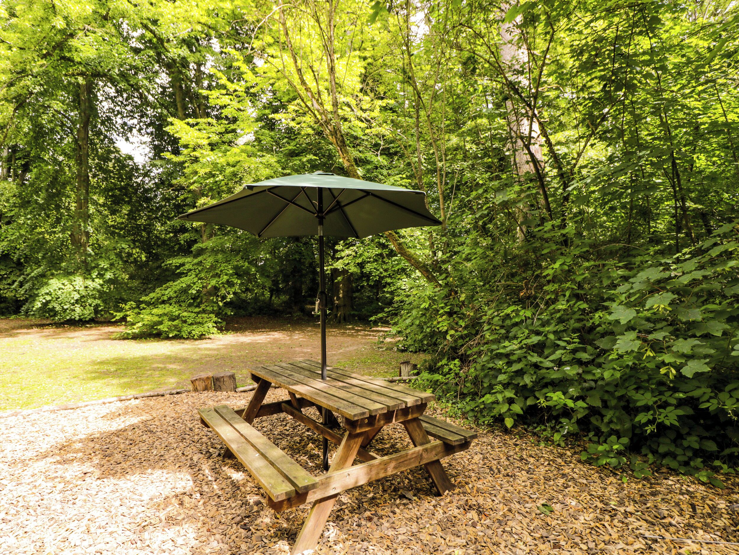 Una mesa de picnic con un parasol verde en un área boscosa.