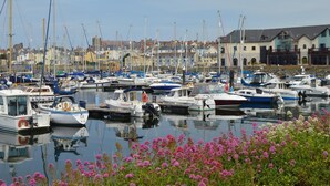 A marina with various boats docked, surrounded by buildings and blooming flowers. - 3 Bed in Aberystwyth (oc-bow115) (Aberystwyth)