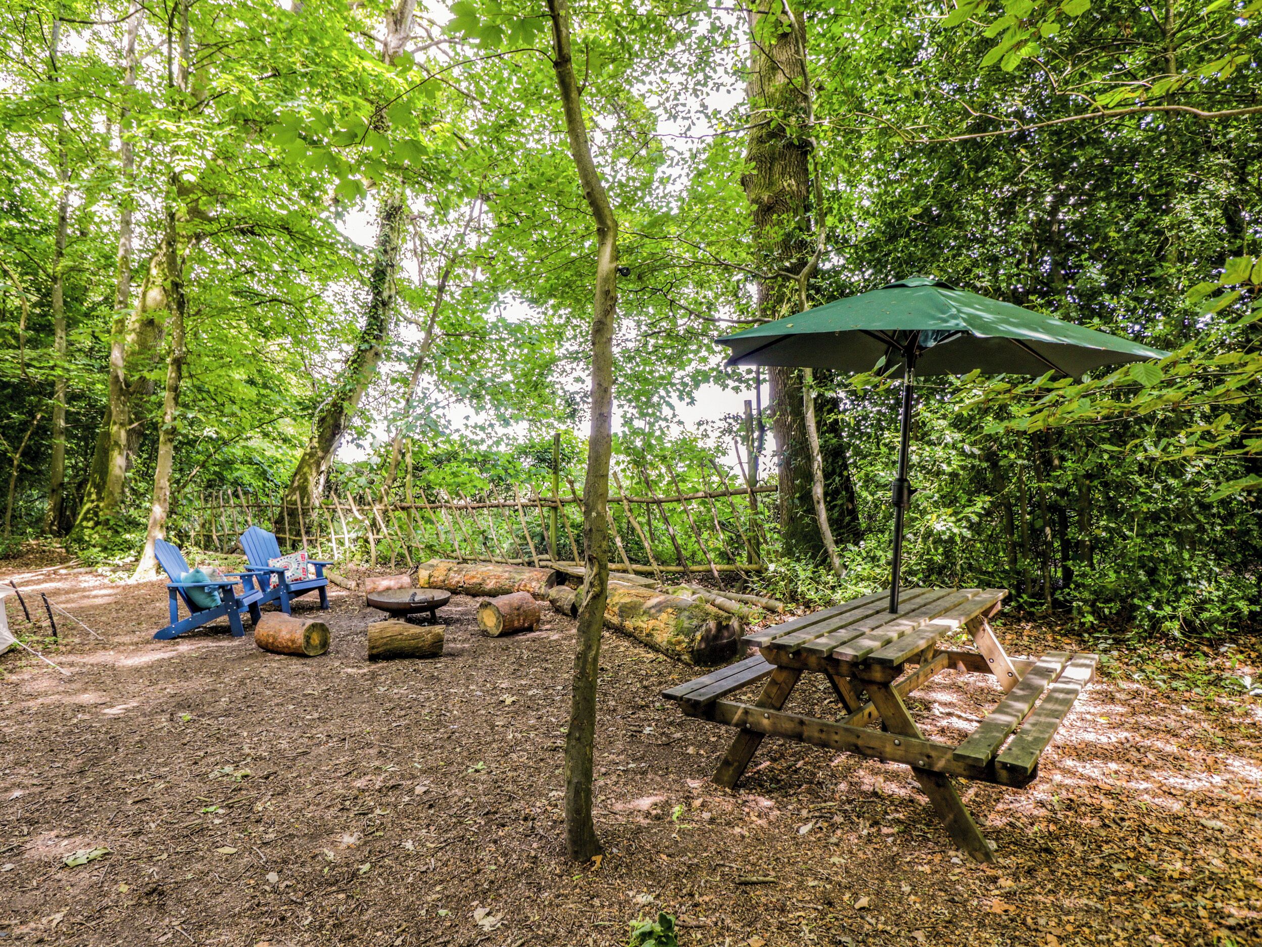 A forested campsite with a picnic table, a blue chair, and a green umbrella.