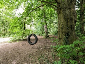 Ein bewaldetes Gebiet mit einer Schaukel an einem Baum.