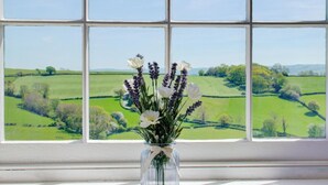 Una ventana con vistas a campos verdes y árboles.