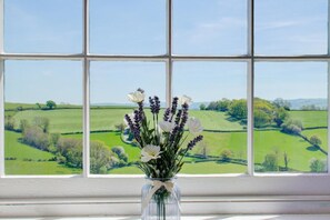 A window with a view of green fields and trees. - 3 Bed in Welshpool (oc-bow122) (Welshpool)
