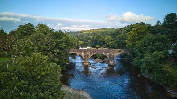 A stone bridge over a river with lush greenery on both sides.
