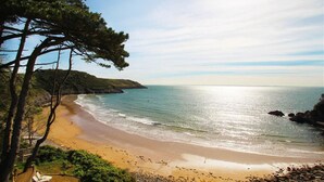 Une plage offrant une vue dégagée sur l’océan, avec un rivage sablonneux et une végétation luxuriante aux alentours.