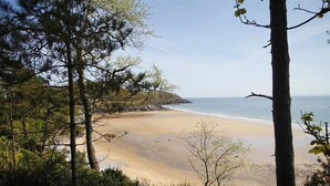 Una spiaggia con alberi e cielo sereno.
