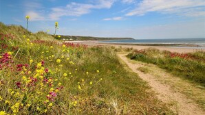 Ein Küstenpfad, der zu einem Strand mit Wildblumen und blauem Himmel führt.
