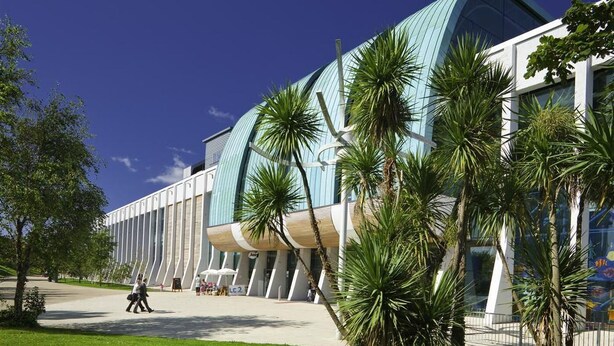 Un bâtiment moderne à la façade incurvée en verre, entouré de palmiers et bordé d’une allée pavée.