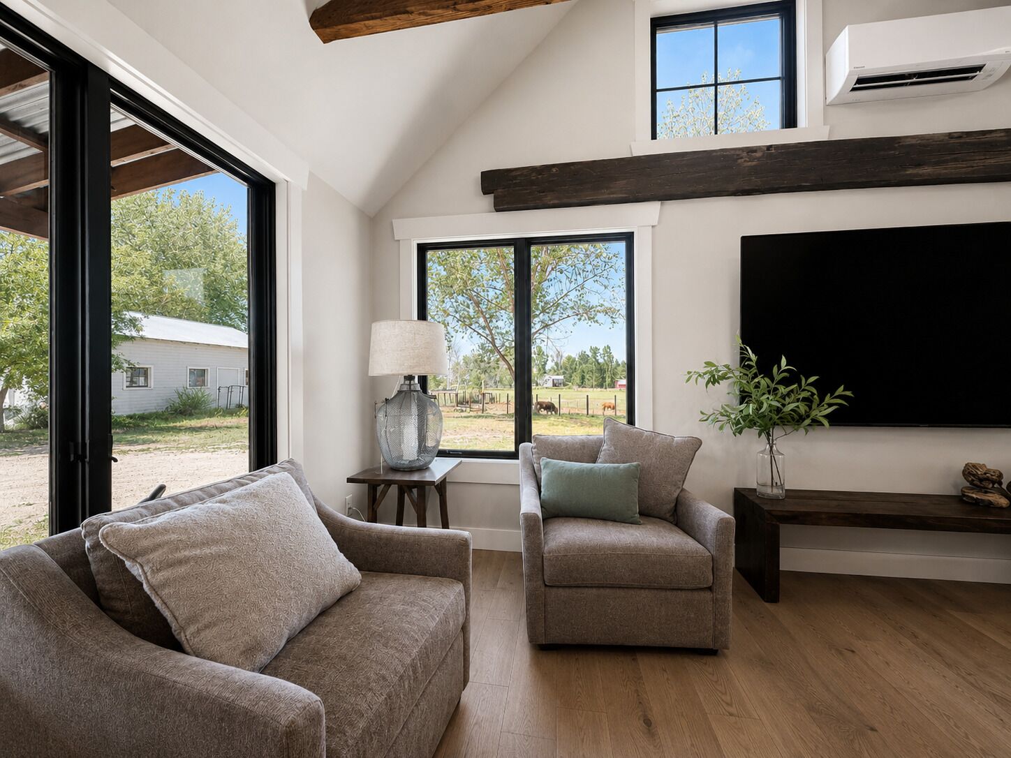 Smart TV y libros 