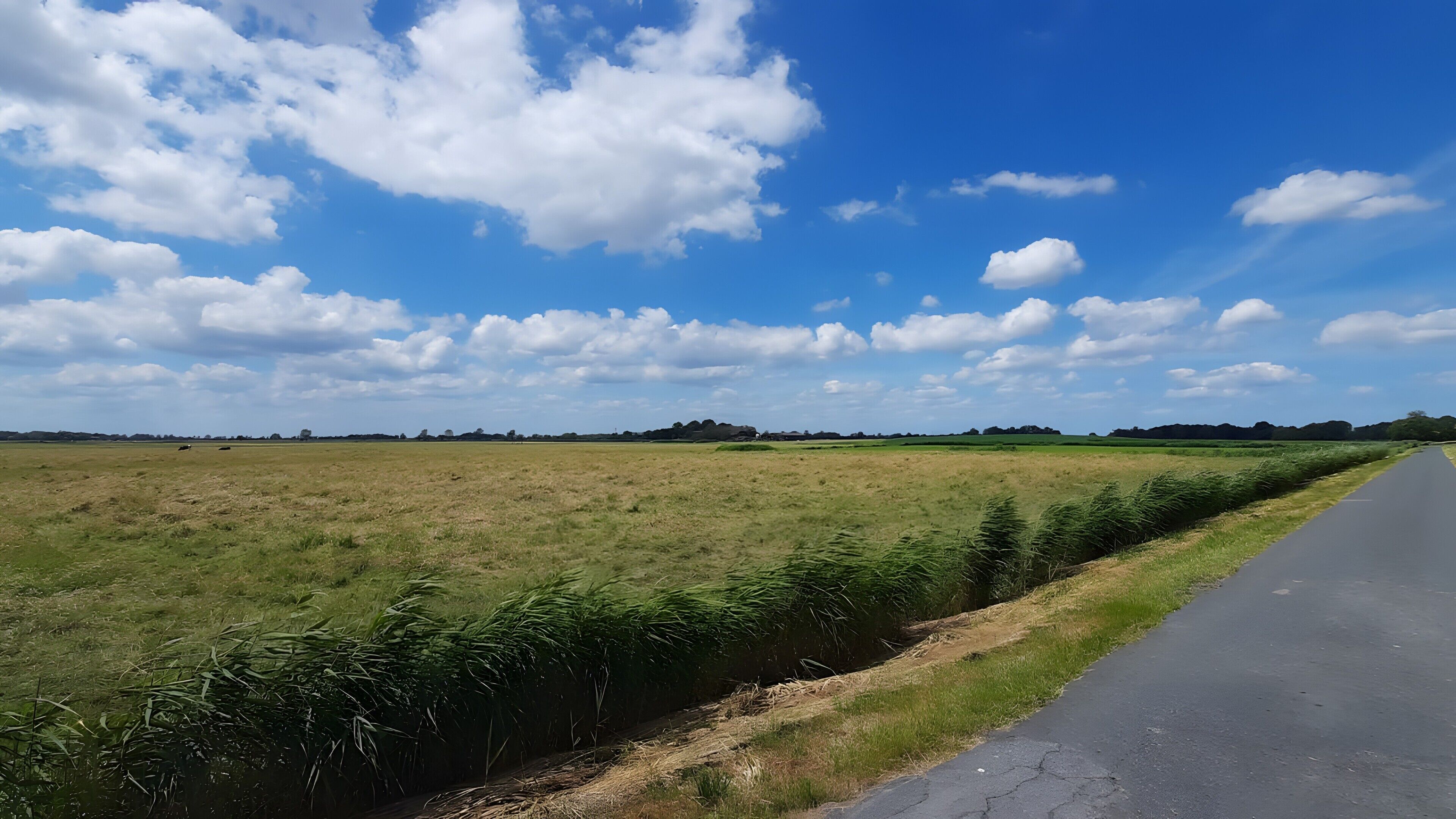 Ländliche Landschaft mit einer Straße, offenen Feldern und blauem Himmel.