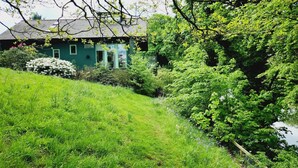 A house with a green exterior, surrounded by lush greenery and a grassy area. - 4 Bed in Kelso (oc-t34654) (Kelso)
