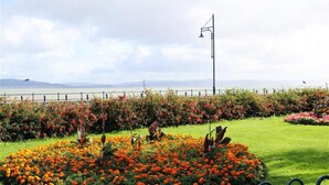 A landscaped garden with a variety of flowers and a street lamp. - 1 Bed in Mumbles (oc-hh1205) (The Mumbles)