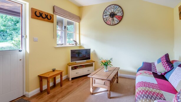 Uma sala de estar com televisão, móveis de madeira, um relógio e uma janela com vista para o verde.