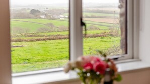 Une fenêtre donnant sur un champ verdoyant et un bâtiment situé au loin.