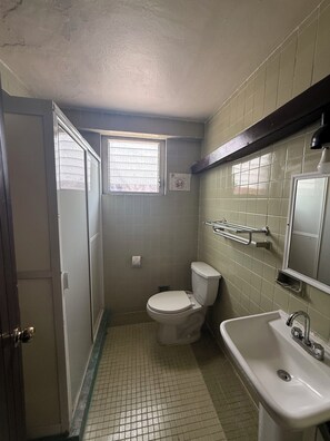 Singola Comfort, 1 letto king | Bagno | Doccia, asciugamani, sapone, shampoo
