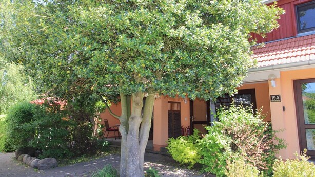 Un edificio con un albero di fronte, un vialetto lastricato e un cartello con la scritta '19A'.
