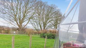 Une serre dotée d’un toit en plastique transparent, d’une clôture en bois et d’un champ herbeux où poussent des arbres sans feuilles.