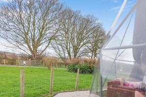 A greenhouse with a clear plastic roof, a wooden fence, and a grassy field with leafless trees.