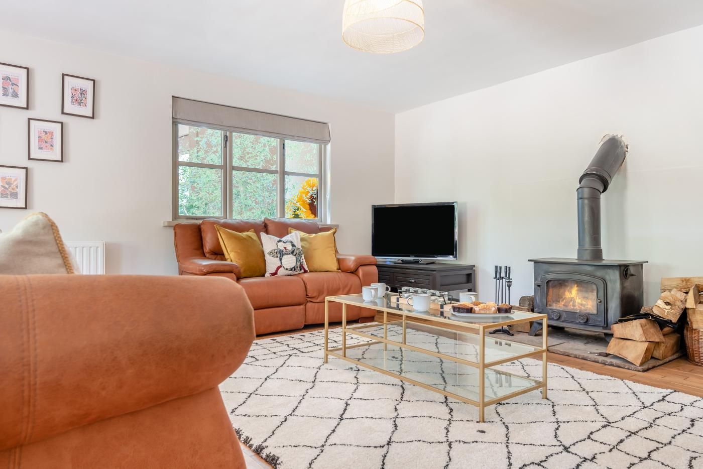 TV, fireplace