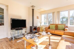 Fernseher, Kamin