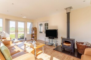 Fernseher, Kamin